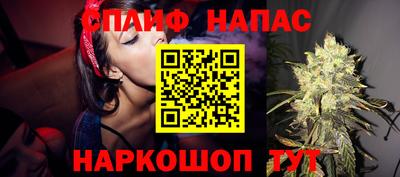 бошки Будённовск