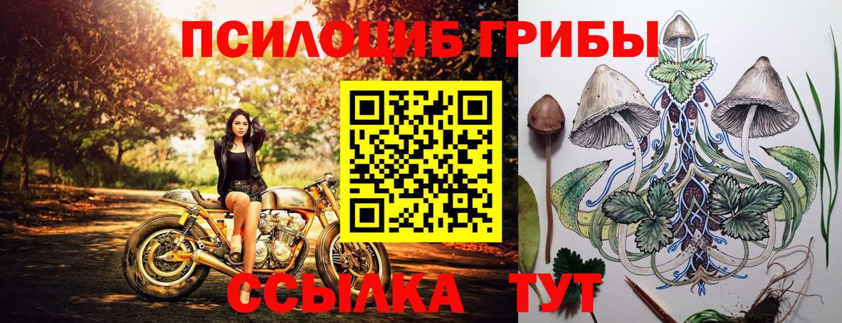 дарнет шоп  Вход с VPN  Псилоцибиновые грибы Psilocybine cubensis  Лиски  Псилоцибиновые грибы MAGIC MUSHROOMS 